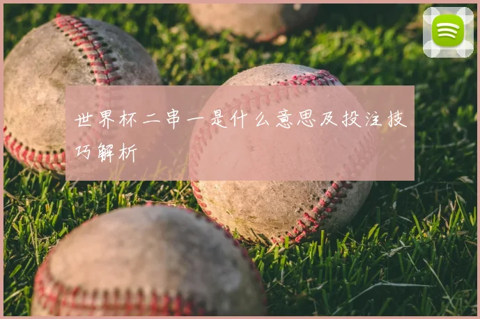 世界杯二串一是什么意思及投注技巧解析