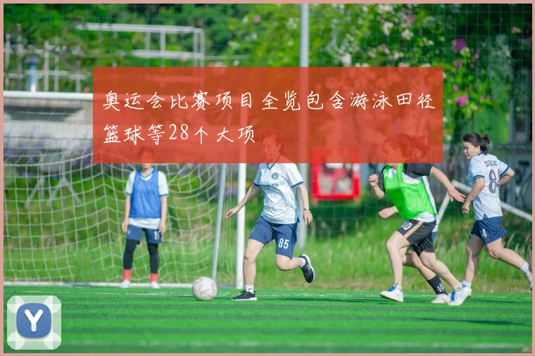 奥运会比赛项目全览包含游泳田径篮球等28个大项