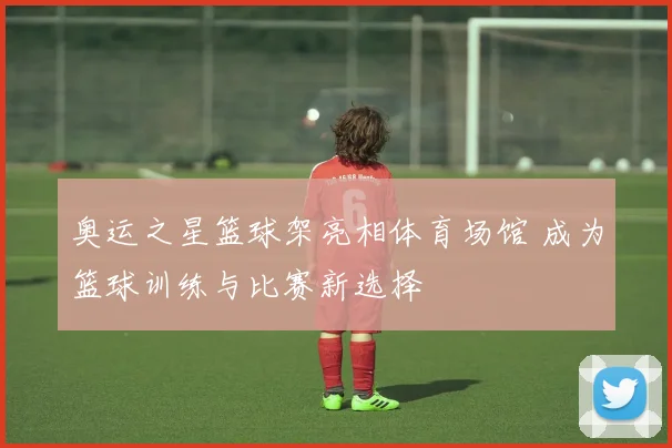 奥运之星篮球架亮相体育场馆 成为篮球训练与比赛新选择